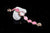 Women Watch Ladies Nobler Fashion